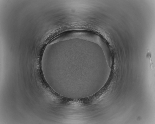 X0000091360689200708101419