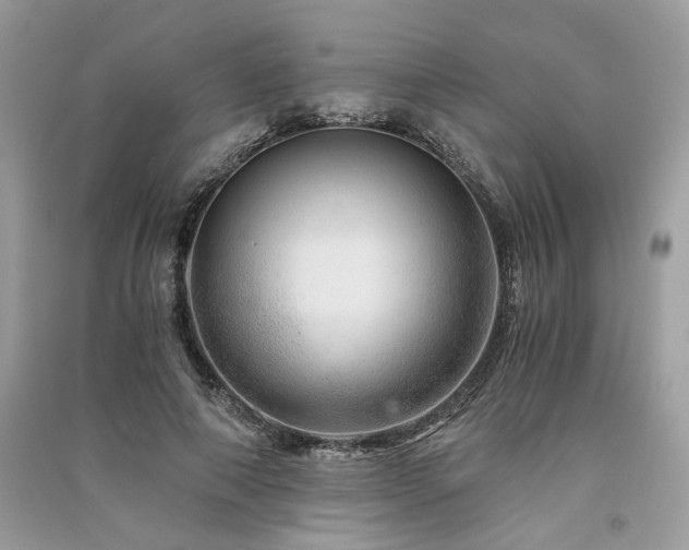 X0000091360690200708101419
