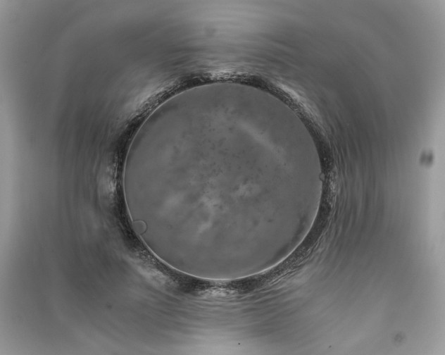 X0000091360691200708101419