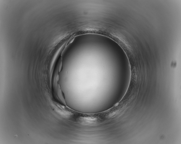 X0000091360692200708101419