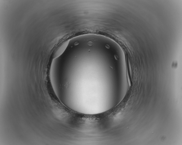 X0000091360693200708101419