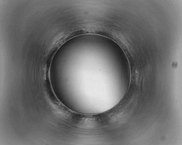 X0000091360694200708101419