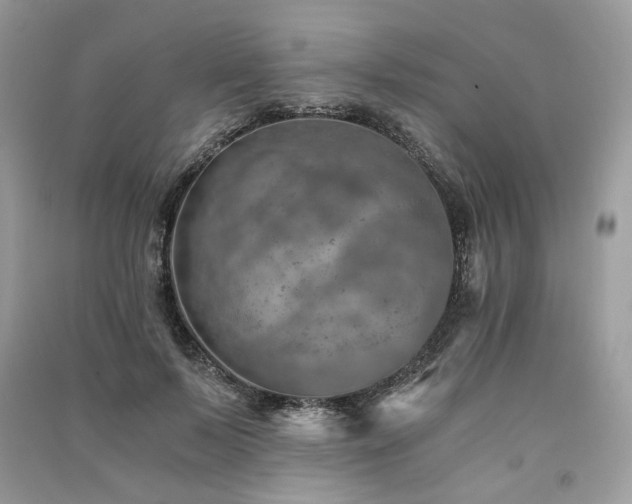 X0000091360695200708101419