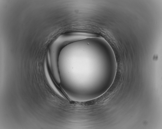 X0000091360697200708101419