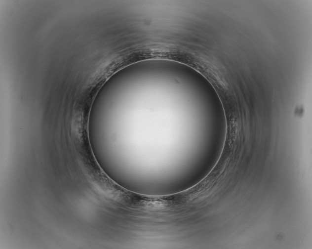 X0000091360698200708101419