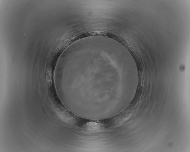 X0000091360699200708101419