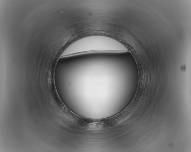 X0000091360700200708101419