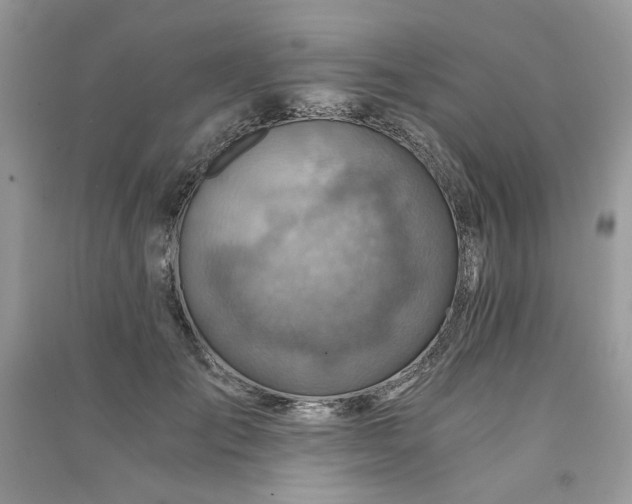 X0000091360701200708101419