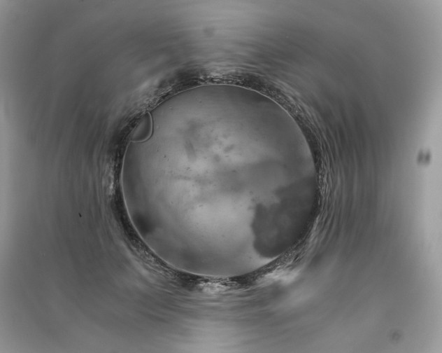 X0000091360703200708101419