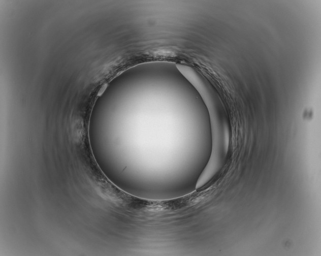 X0000091360704200708101419