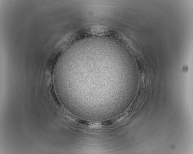 X0000091360705200708101419