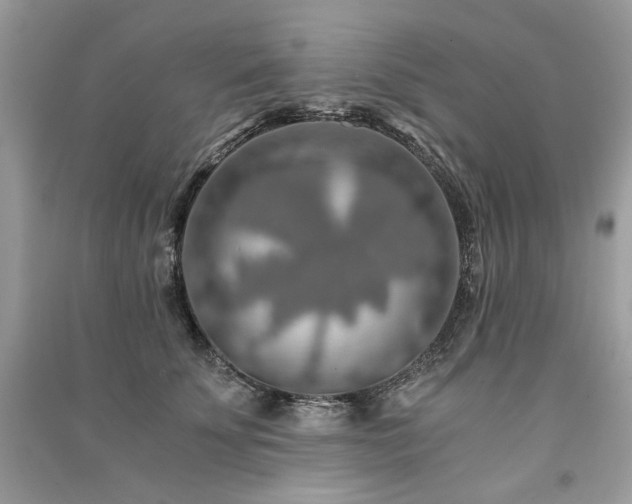 X0000091360707200708101419