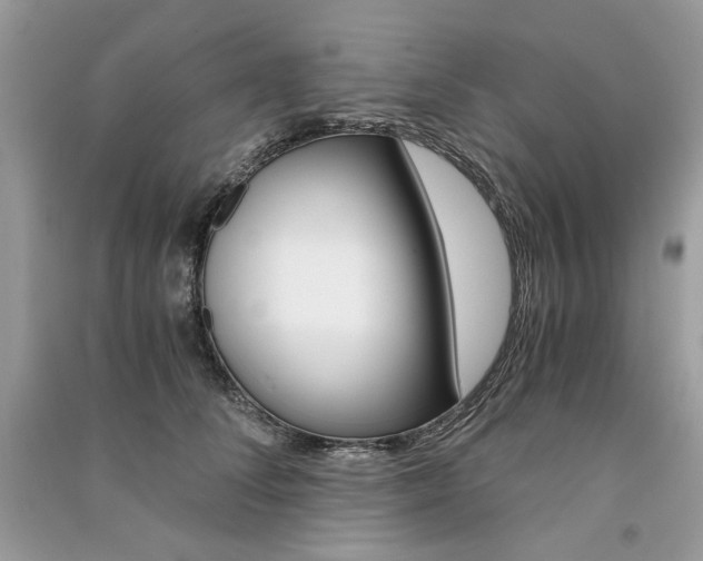 X0000091360708200708101419
