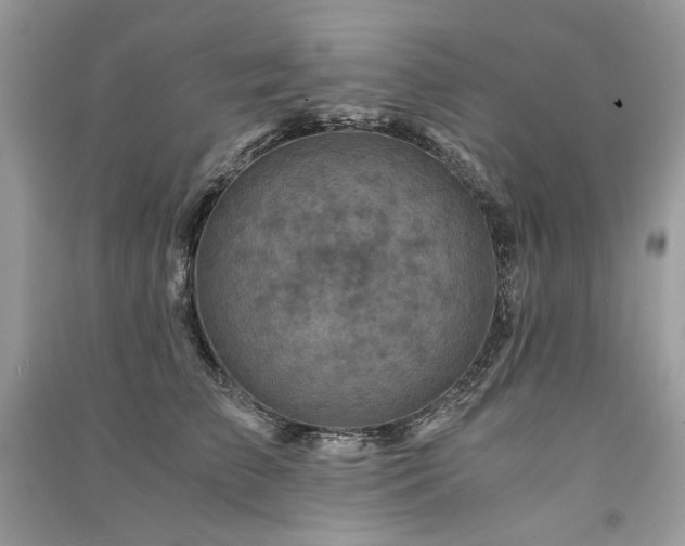 X0000091360709200708101419