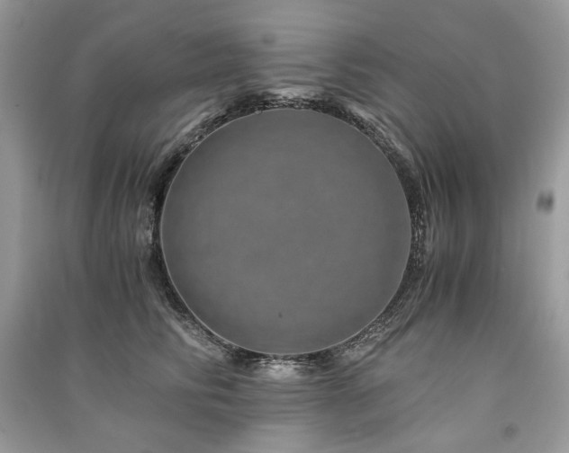 X0000091360710200708101419