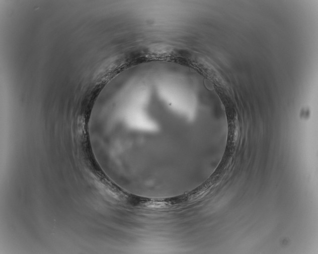 X0000091360711200708101419