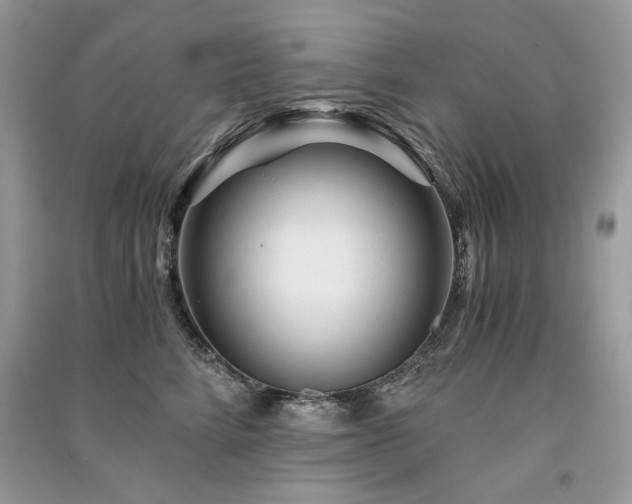 X0000091360712200708101419