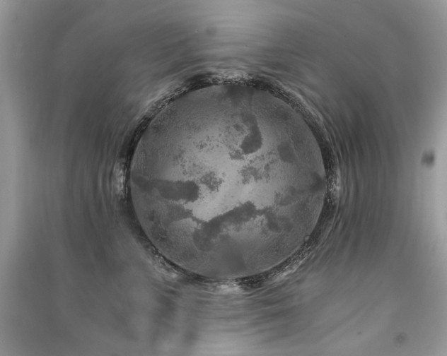X0000091360715200708101419