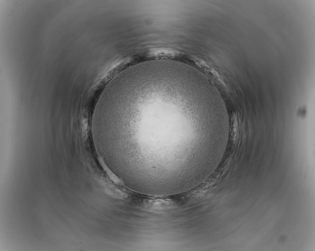X0000091360716200708101419