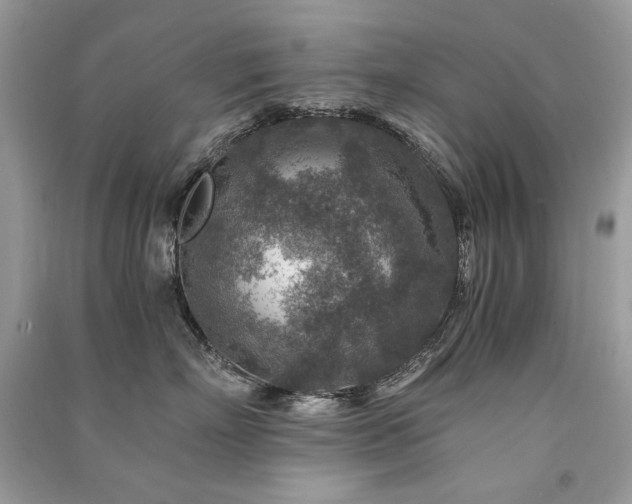 X0000091360718200708101419