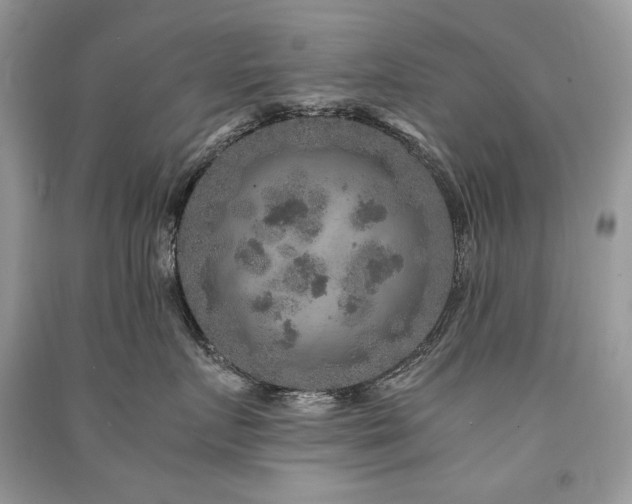 X0000091360719200708101419