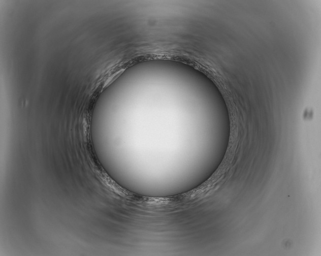 X0000091360720200708101419
