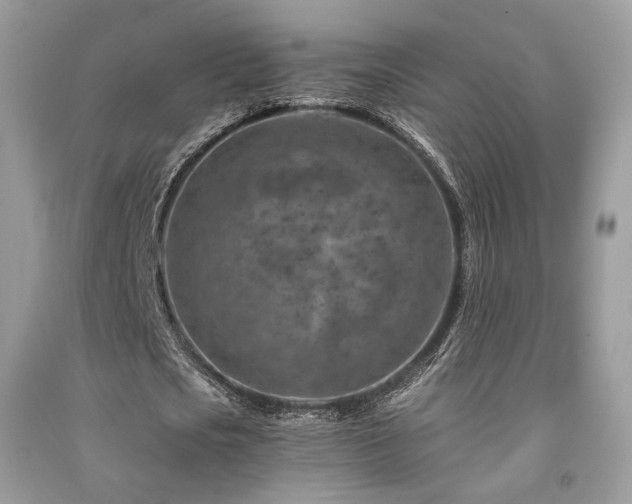 X0000091360721200708101418