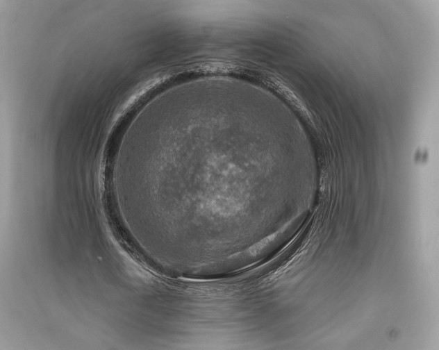 X0000091360722200708101418