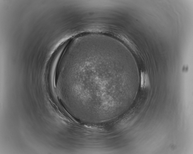 X0000091360723200708101418
