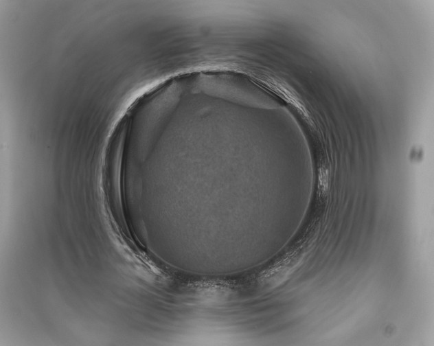 X0000091360724200708101418