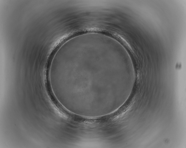 X0000091360725200708101418