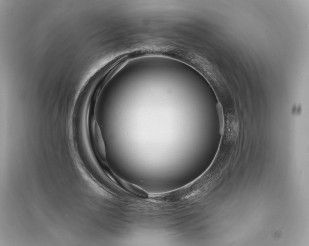 X0000091360726200708101418