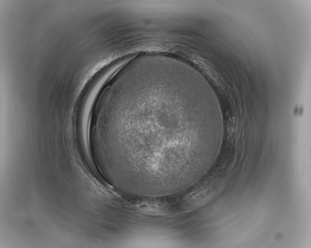 X0000091360727200708101419