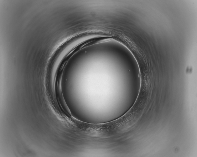 X0000091360728200708101419