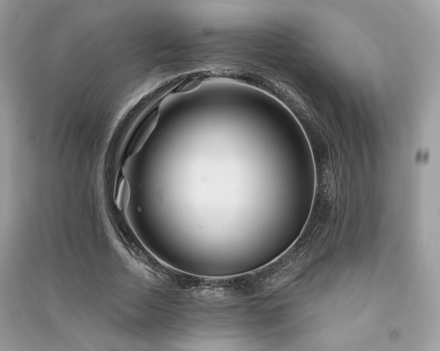 X0000091360730200708101419