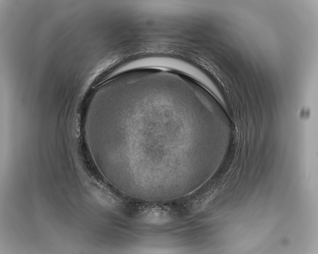 X0000091360731200708101419
