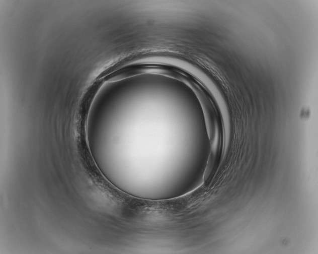 X0000091360732200708101419
