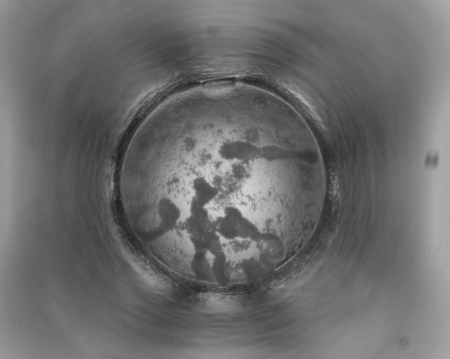 X0000091360733200708101419