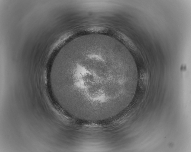 X0000091360734200708101419
