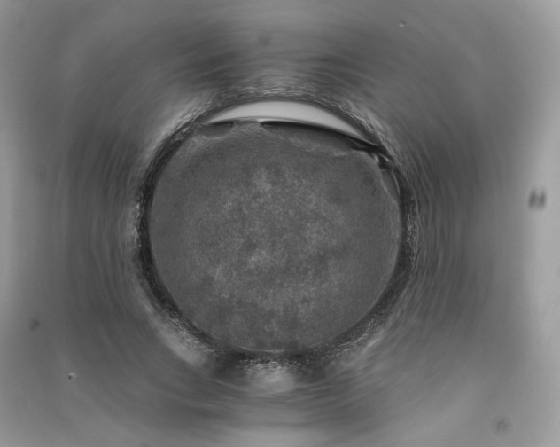 X0000091360735200708101419