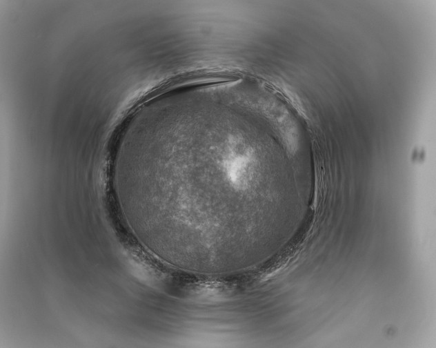 X0000091360736200708101419