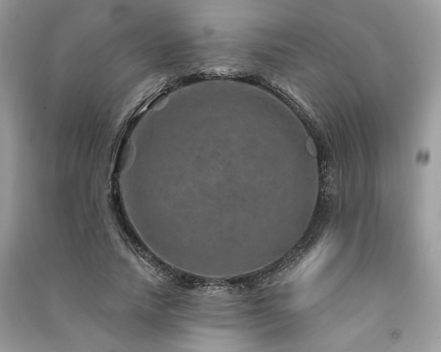 X0000091360738200708101419