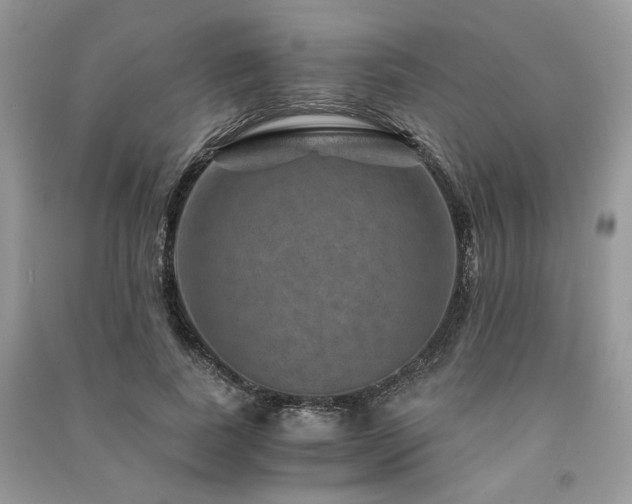 X0000091360739200708101419