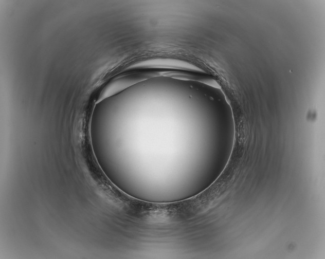 X0000091360740200708101419