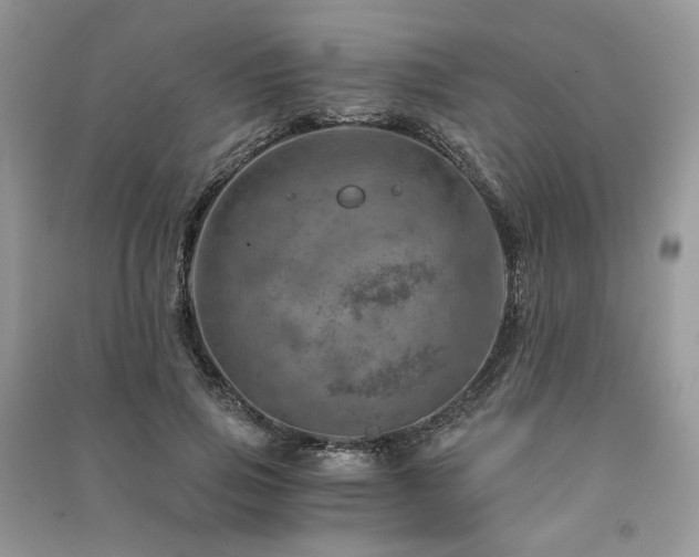 X0000091360741200708101419