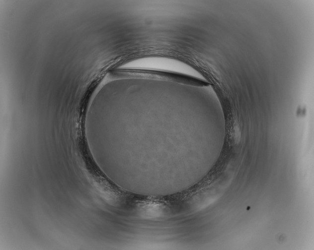 X0000091360743200708101419