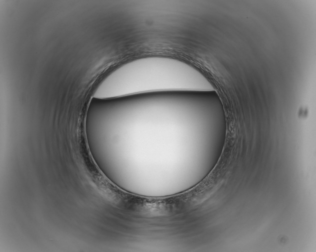 X0000091360744200708101419
