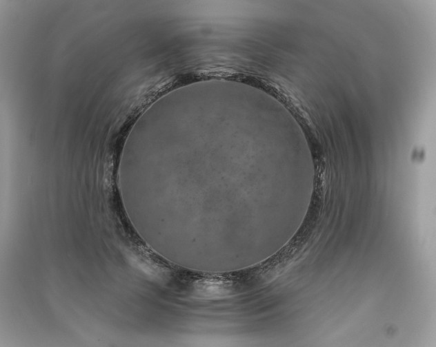 X0000091360745200708101419