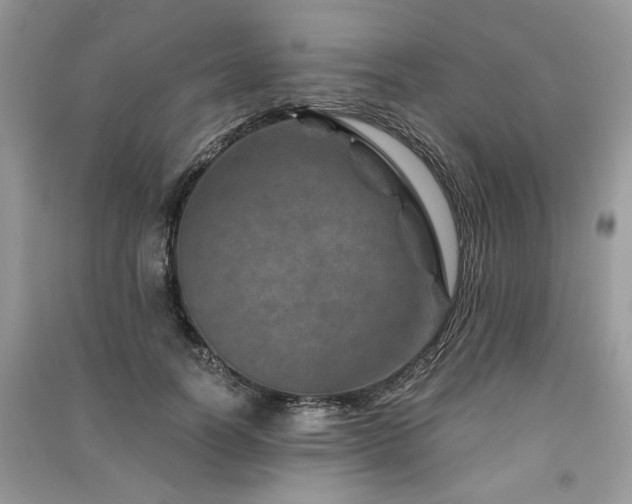 X0000091360746200708101419