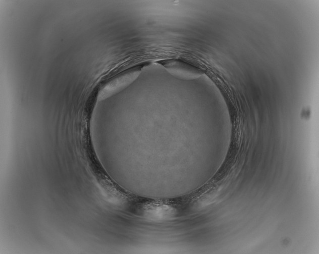 X0000091360747200708101419